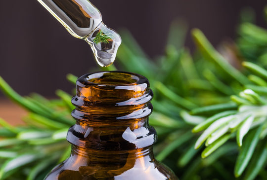 Wildcrafted Rosemary Scalp Oil